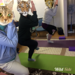 ヨガの和ほこほこ 学園前の小さなヨガ教室