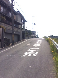 近鉄菖蒲駅南口から右折